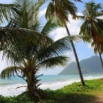 Was ist schöner? Martinique oder Guadeloupe? Flugticket ab 249€! (erstattbar)